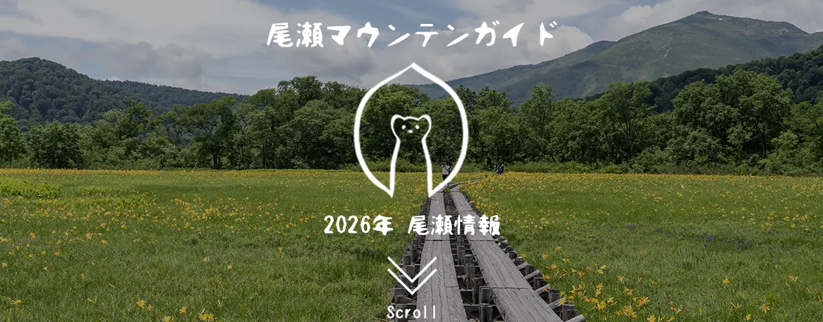 2026尾瀬情報