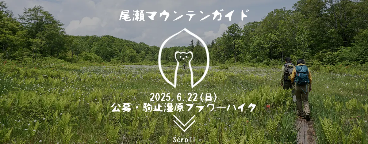 会津駒ヶ岳・三岩岳縦走ガイド