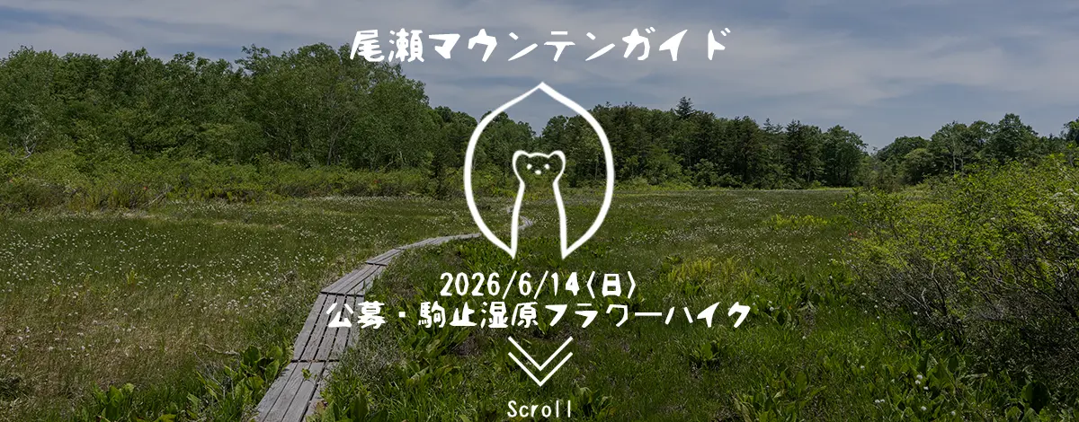 駒止湿原・フラワーハイク