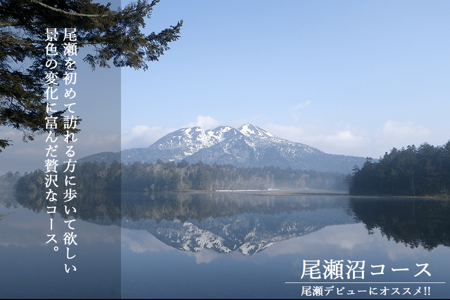 尾瀬マウンテンガイド・尾瀬沼