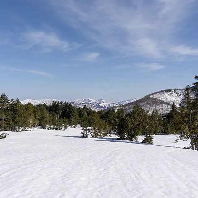 上田代スノーハイク