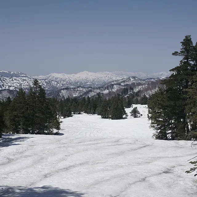 上田代スノーハイク