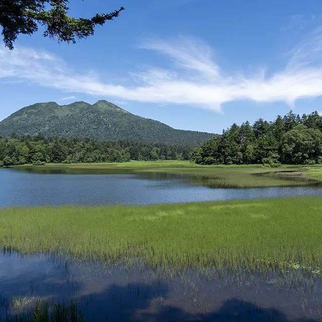 ゆったり尾瀬沼ハイク