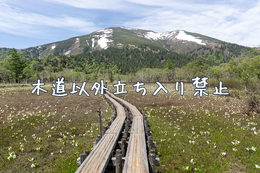 木道以外立ち入り禁止
