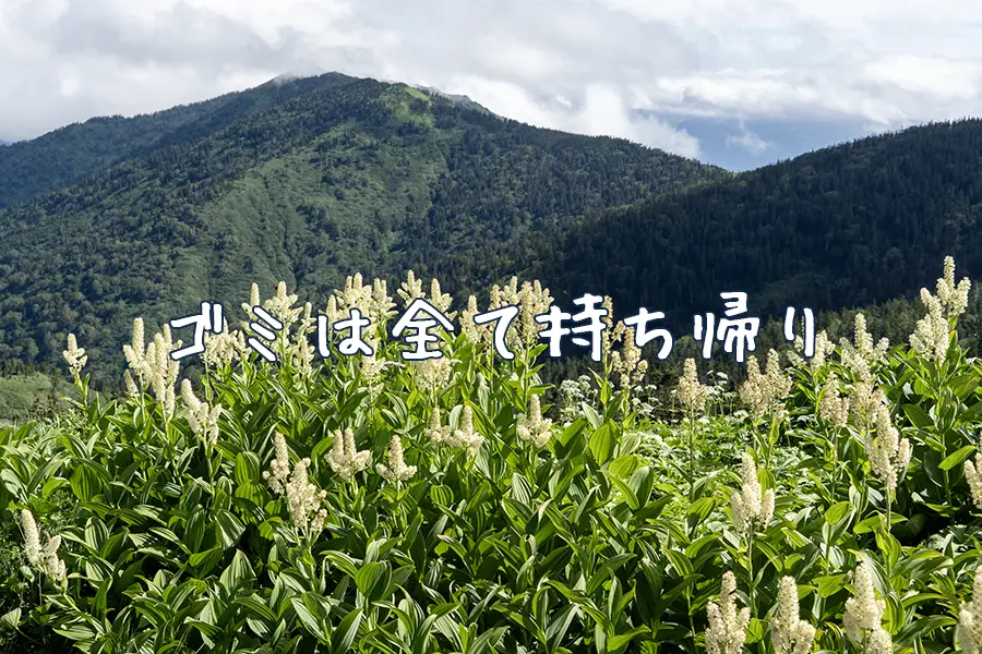 ゴミは持ち帰り