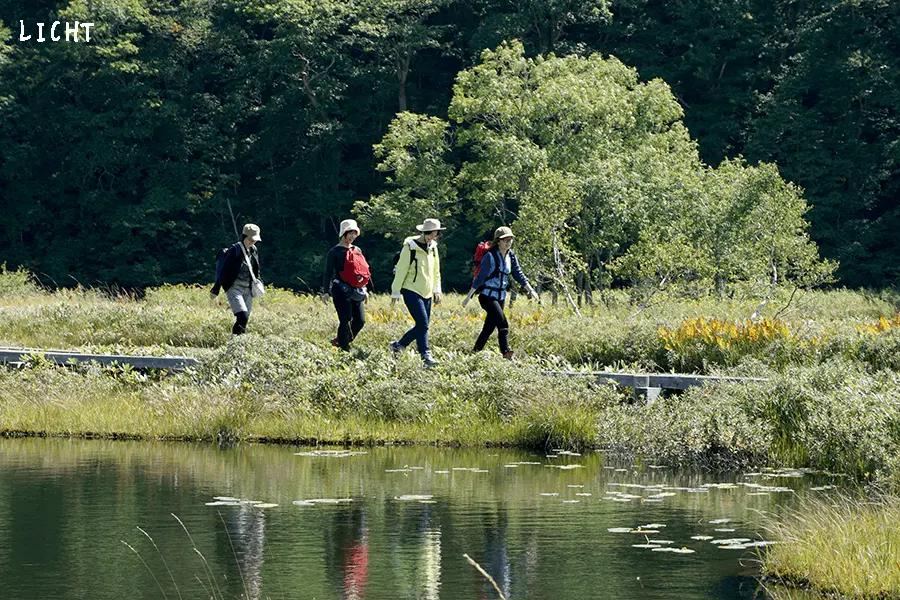 尾瀬・花豆ソフト