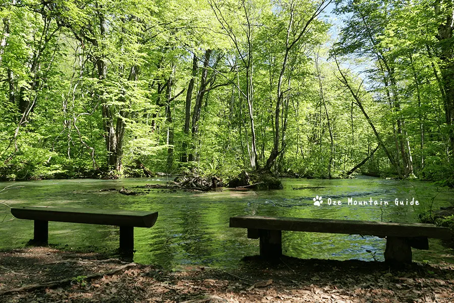 奥入瀬・ガイド