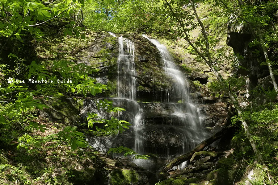 奥入瀬・ガイド