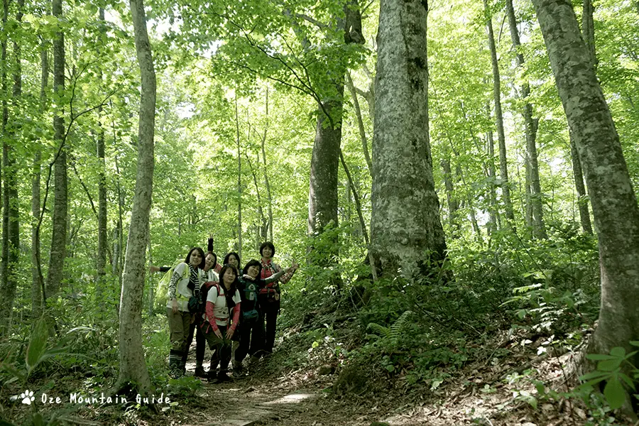 蔦温泉・ガイド