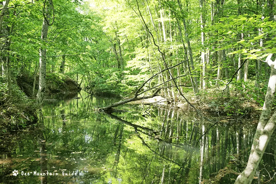 蔦温泉・ガイド