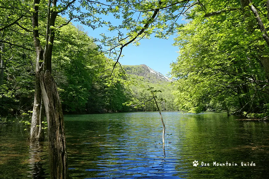 蔦温泉・ガイド