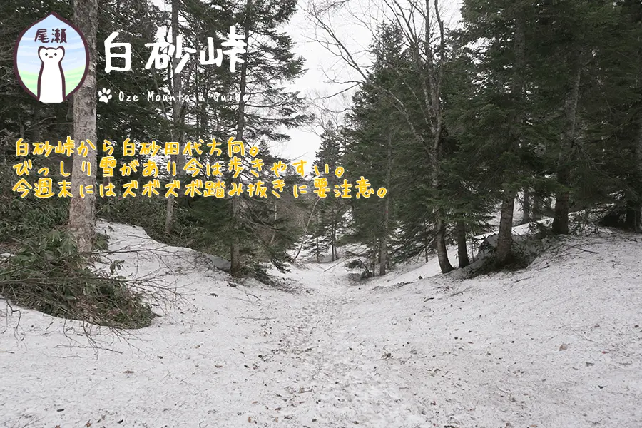 尾瀬・残雪