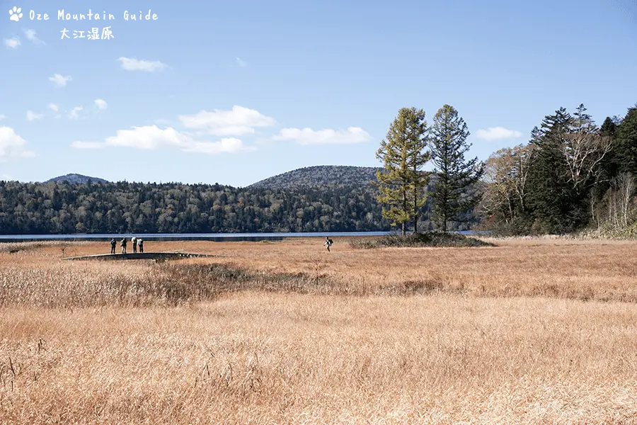 大江湿原