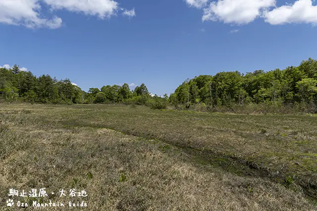 駒止湿原