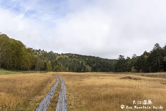 大江湿原