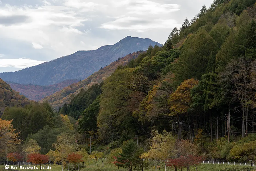 尾瀬マウンテンガイド・檜枝岐村