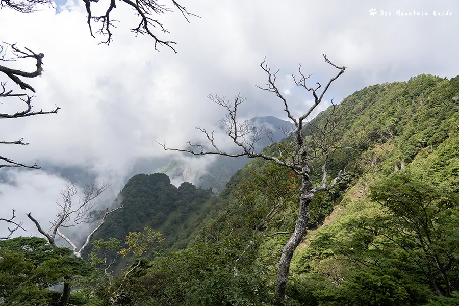 赤薙山