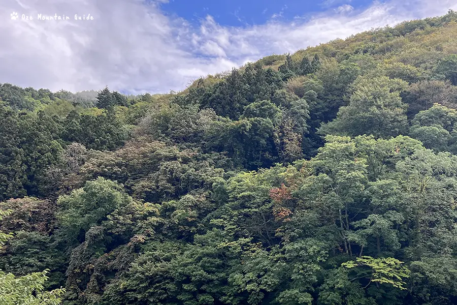 檜枝岐村