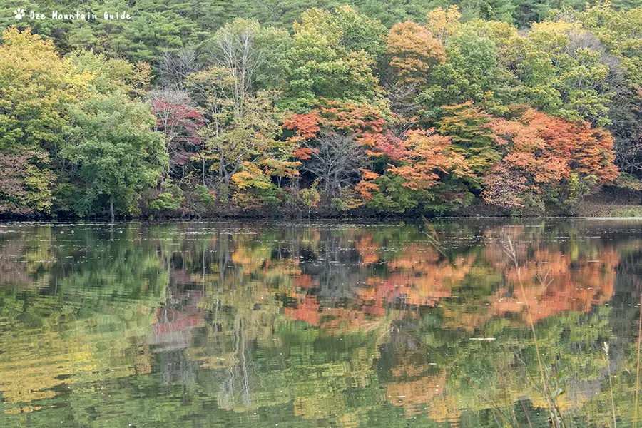 観音沼森林公園