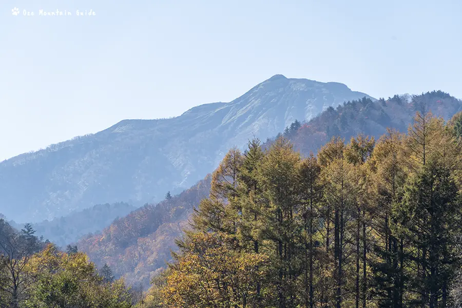 檜枝岐村