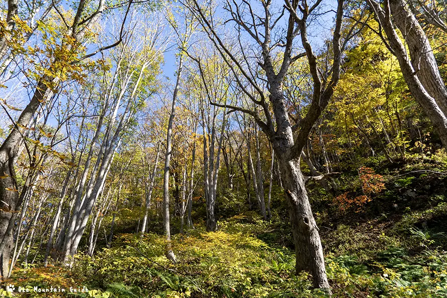 檜枝岐村