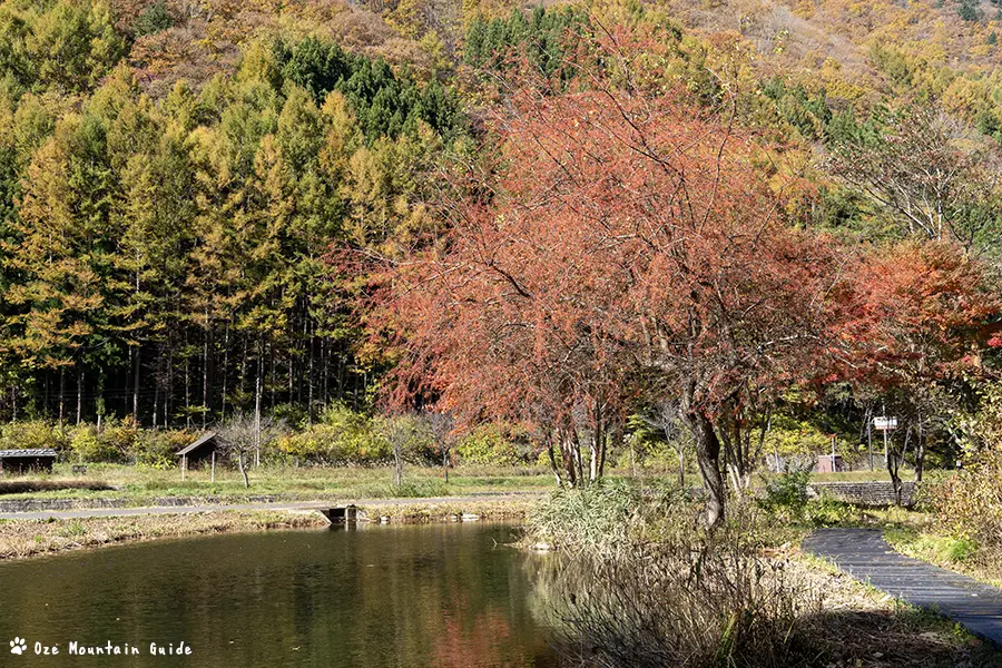 檜枝岐村