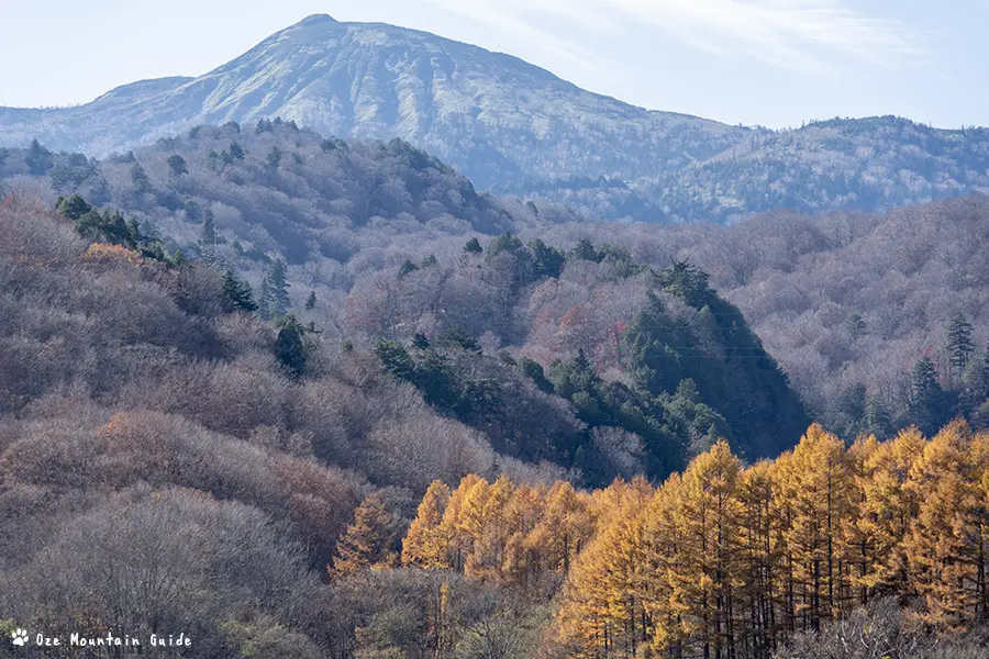 檜枝岐村