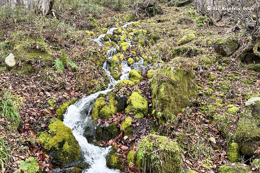 尾瀬