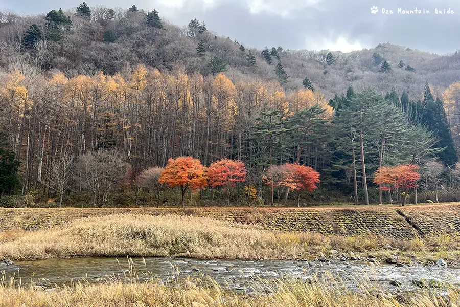 檜枝岐村