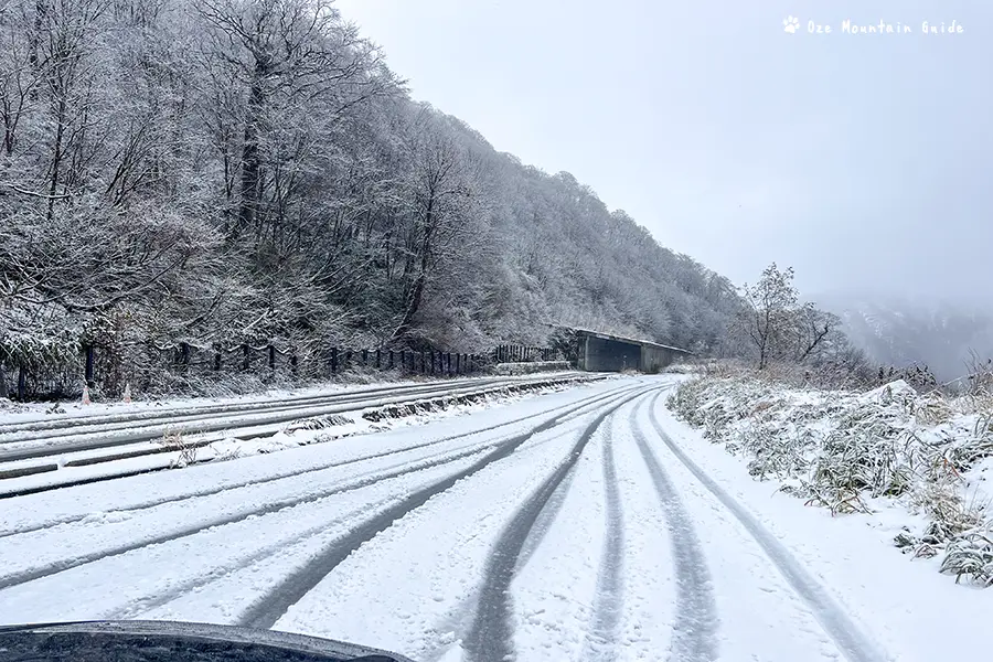 国道252号線