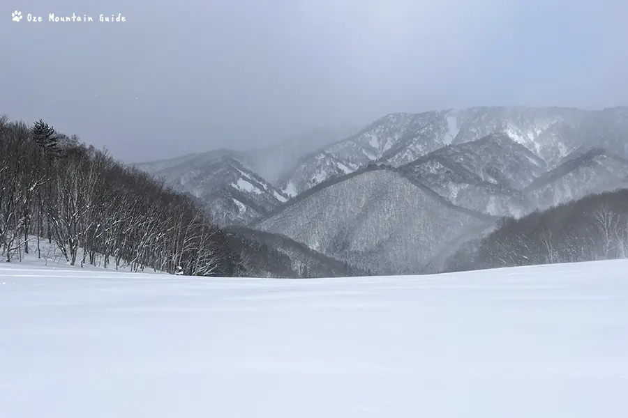 尾瀬