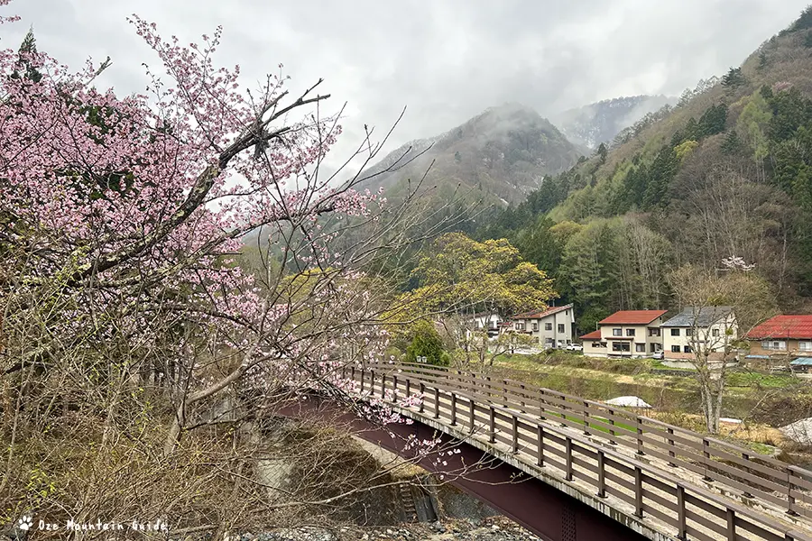 檜枝岐村