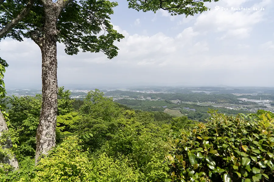 関山
