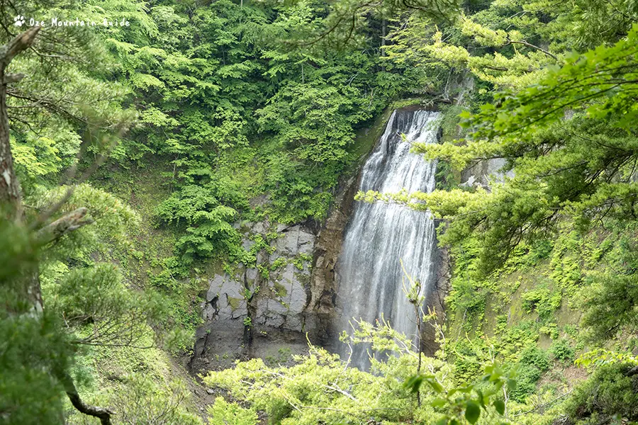 尾瀬