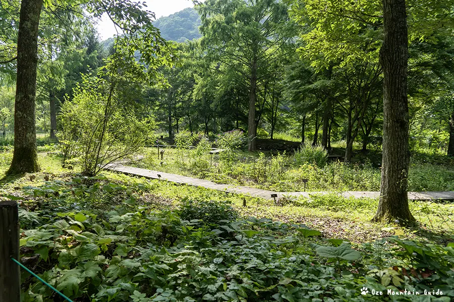 上三依水生植物園