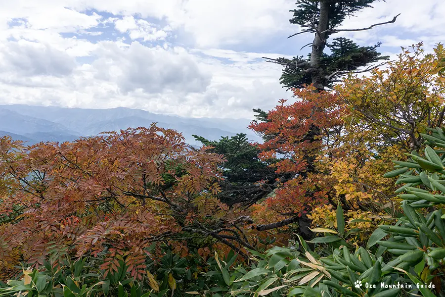 中門岳
