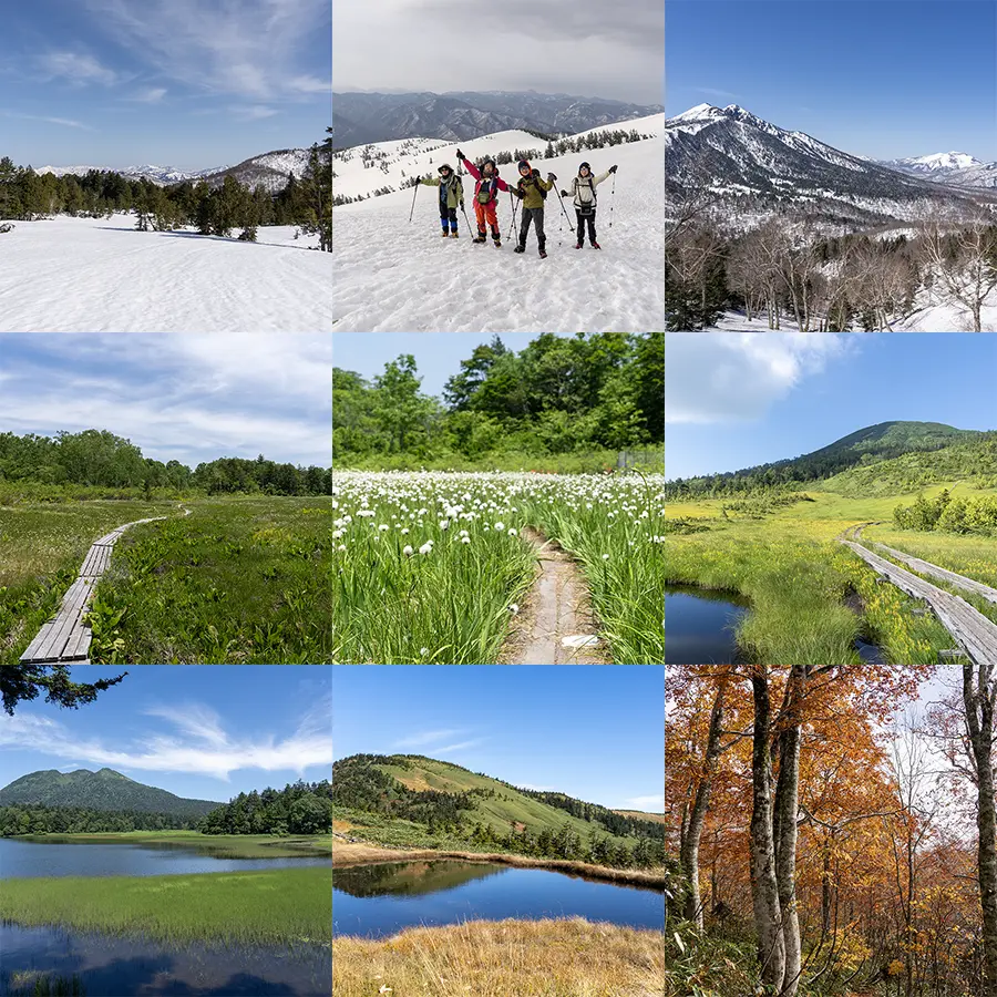 尾瀬マウンテンガイド